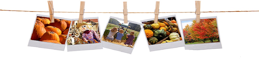 Center Creek Orchard, Fairmont, MN